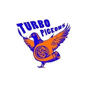 Team Page: Turbo Pigeons